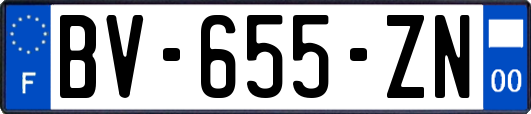 BV-655-ZN