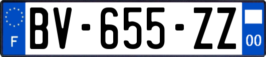 BV-655-ZZ