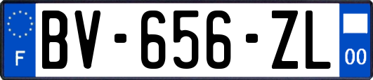 BV-656-ZL