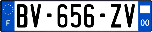 BV-656-ZV