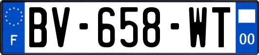 BV-658-WT