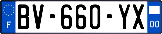 BV-660-YX