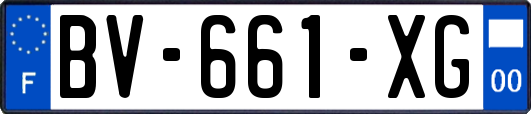 BV-661-XG