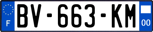 BV-663-KM
