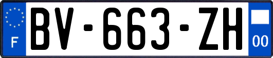 BV-663-ZH