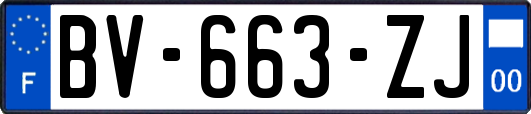 BV-663-ZJ