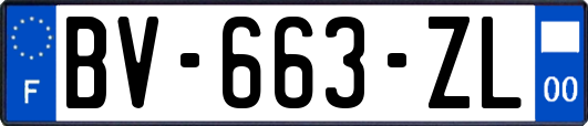 BV-663-ZL