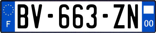 BV-663-ZN