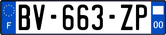 BV-663-ZP