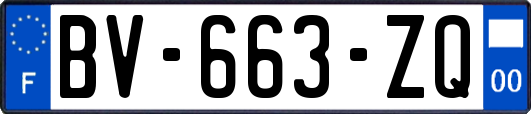 BV-663-ZQ