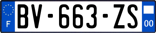 BV-663-ZS