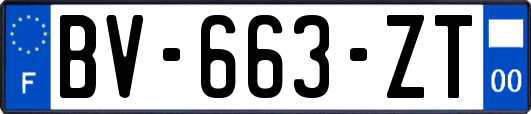 BV-663-ZT