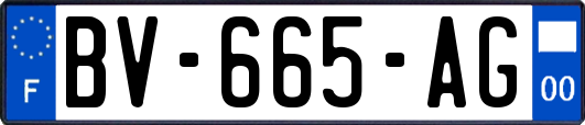 BV-665-AG