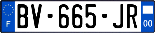 BV-665-JR