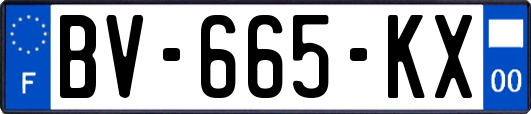 BV-665-KX