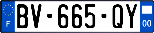 BV-665-QY