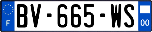 BV-665-WS