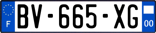 BV-665-XG
