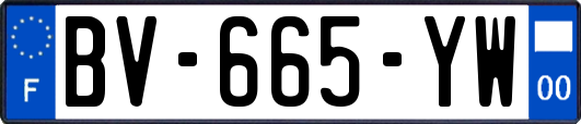 BV-665-YW