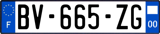 BV-665-ZG