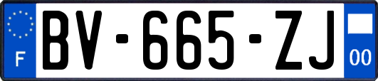 BV-665-ZJ