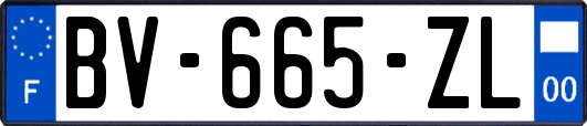 BV-665-ZL