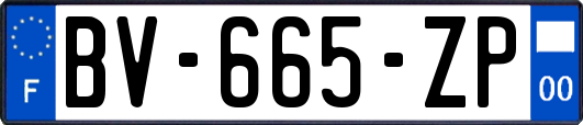 BV-665-ZP