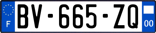 BV-665-ZQ