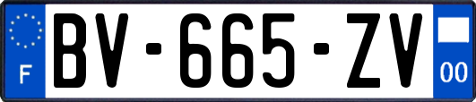 BV-665-ZV