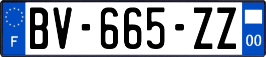 BV-665-ZZ