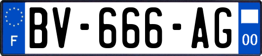 BV-666-AG