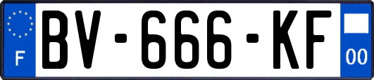 BV-666-KF
