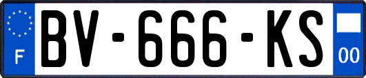 BV-666-KS