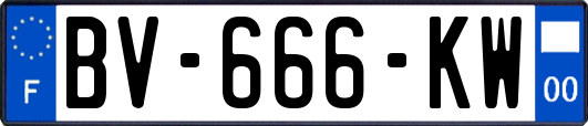 BV-666-KW