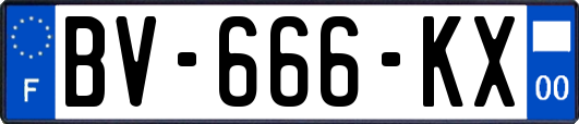 BV-666-KX