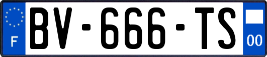 BV-666-TS