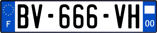 BV-666-VH