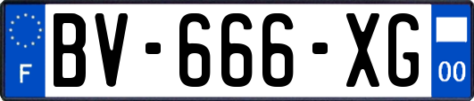 BV-666-XG