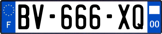 BV-666-XQ