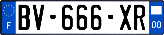BV-666-XR