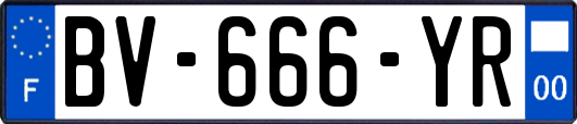 BV-666-YR