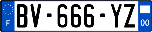 BV-666-YZ