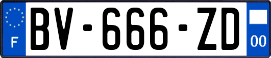 BV-666-ZD