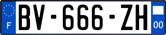 BV-666-ZH