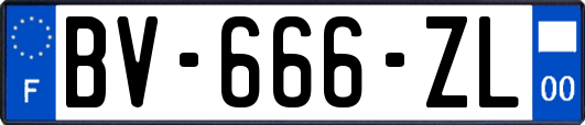 BV-666-ZL