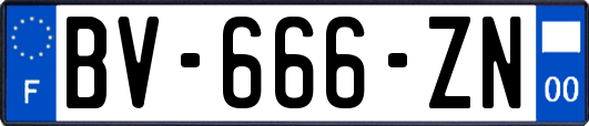 BV-666-ZN