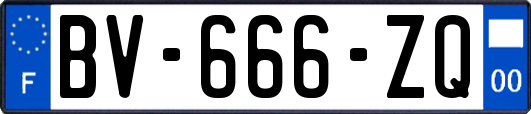 BV-666-ZQ