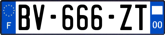 BV-666-ZT