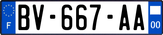 BV-667-AA