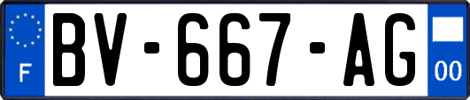 BV-667-AG